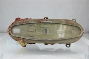 Picture of 1929 Hudson cluster